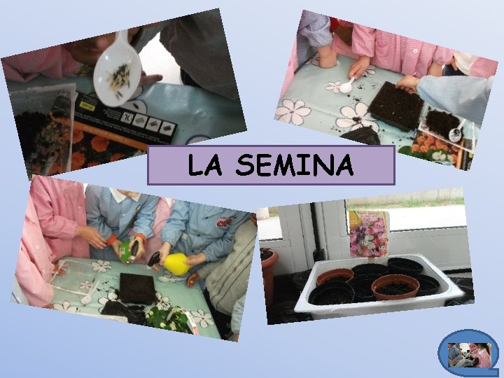 LA SEMINA 