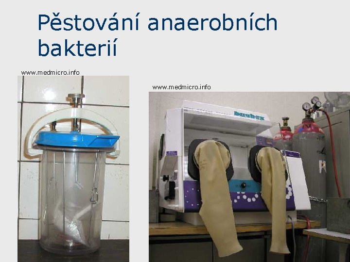 Pěstování anaerobních bakterií www. medmicro. info 