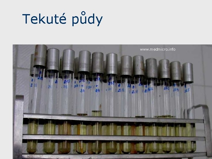 Tekuté půdy www. medmicro. info 