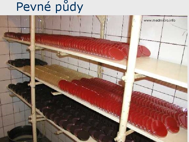 Pevné půdy www. medmicro. info 