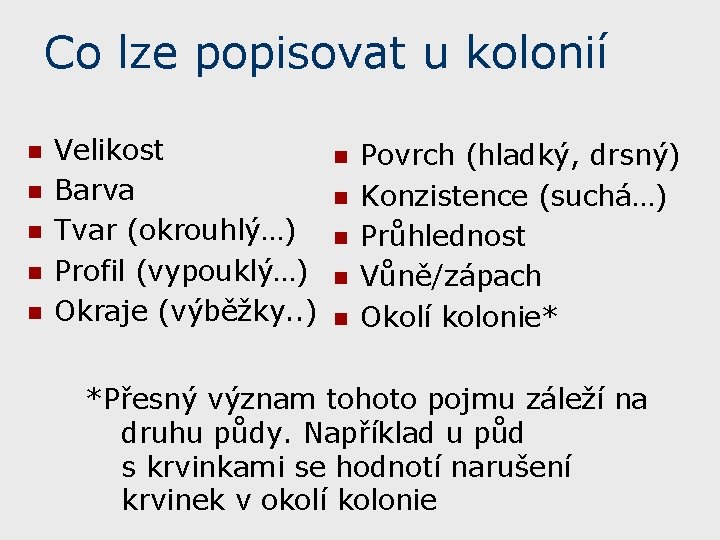 Co lze popisovat u kolonií n n n Velikost Barva Tvar (okrouhlý…) Profil (vypouklý…)