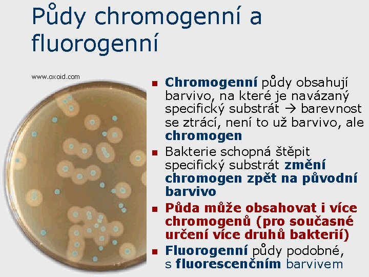 Půdy chromogenní a fluorogenní www. oxoid. com n n Chromogenní půdy obsahují barvivo, na