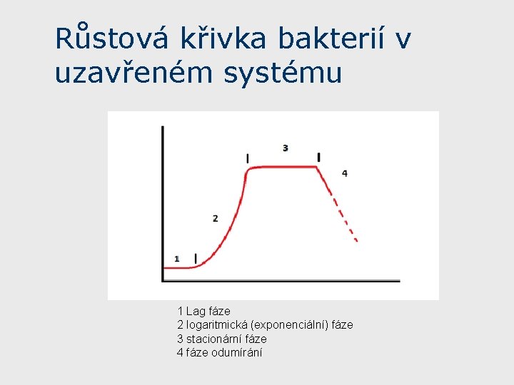 Růstová křivka bakterií v uzavřeném systému 1 Lag fáze 2 logaritmická (exponenciální) fáze 3