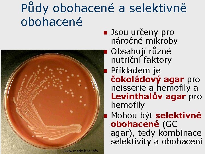 Půdy obohacené a selektivně obohacené n n www. medmicro. info Jsou určeny pro náročné