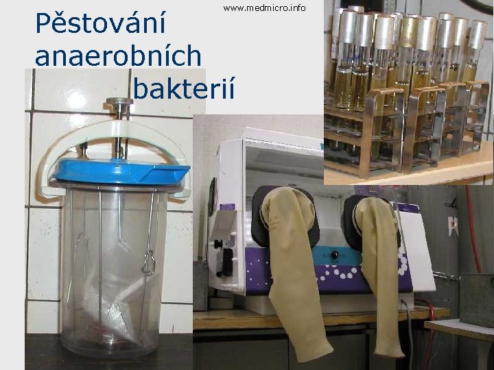 www. medmicro. info Pěstování anaerobních bakterií 