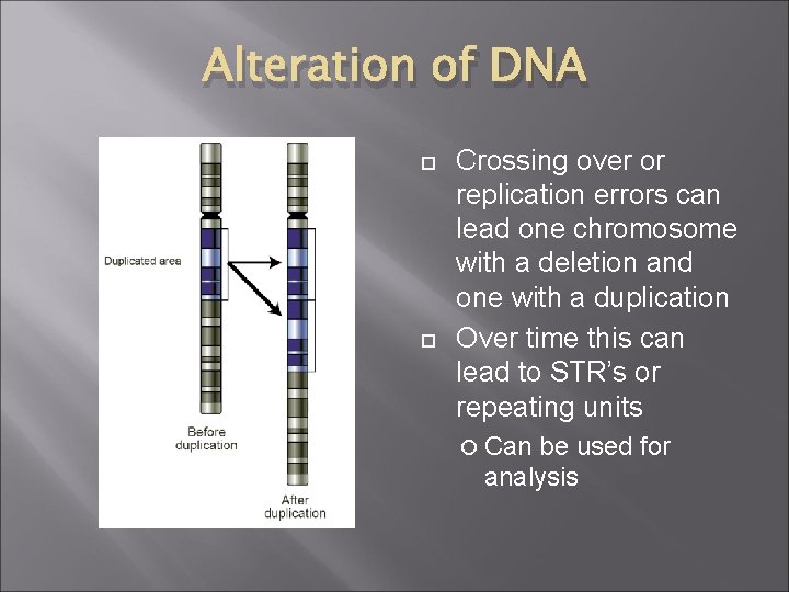 Alteration of DNA Crossing over or replication errors can lead one chromosome with a