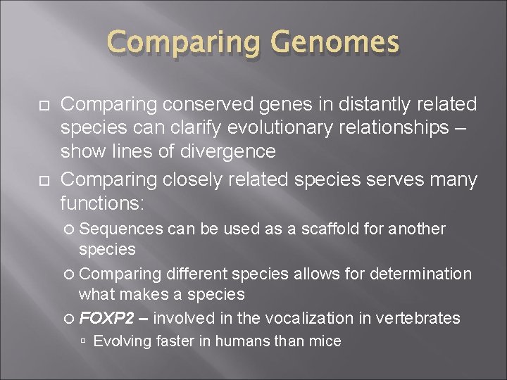 Comparing Genomes Comparing conserved genes in distantly related species can clarify evolutionary relationships –