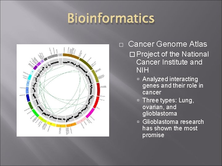 Bioinformatics � Cancer Genome Atlas � Project of the National Cancer Institute and NIH