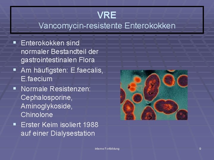 VRE Vancomycin-resistente Enterokokken § Enterokokken sind normaler Bestandteil der gastrointestinalen Flora § Am häufigsten: