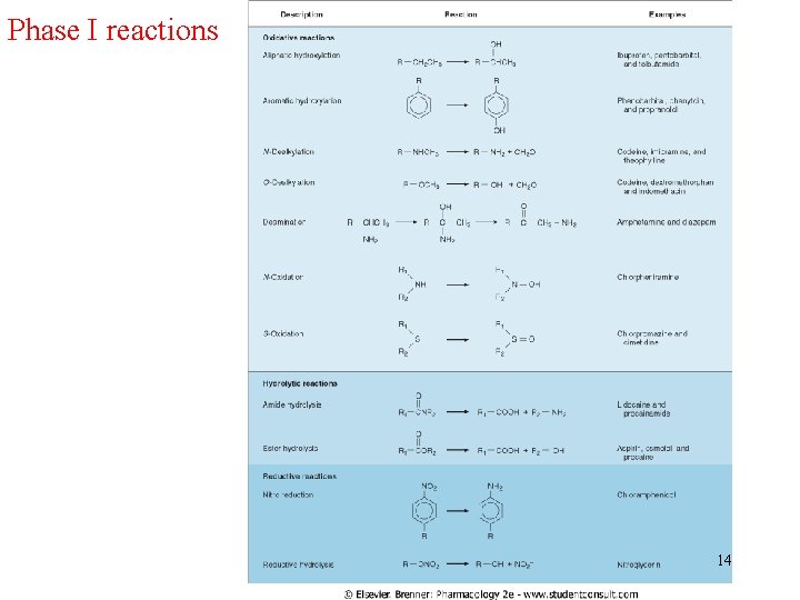 Phase I reactions 14 