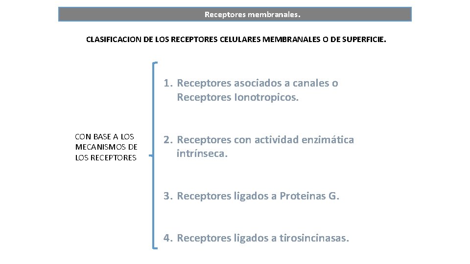 Receptores membranales. CLASIFICACION DE LOS RECEPTORES CELULARES MEMBRANALES O DE SUPERFICIE. 1. Receptores asociados
