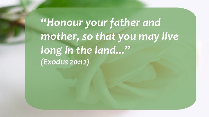 “Honour your father and mother, so that you may live long in the land.