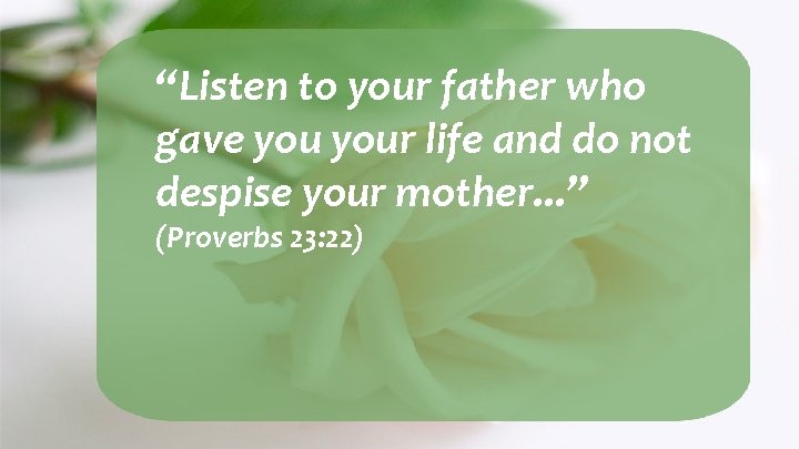 “Listen to your father who gave your life and do not despise your mother.