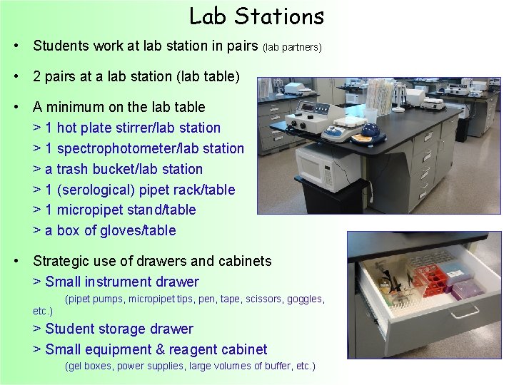 How to Manage a Biotech Lab Ellyn Daugherty