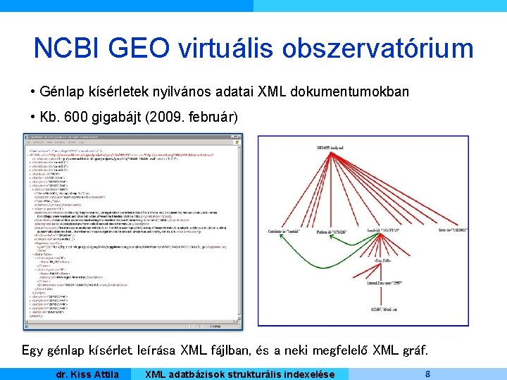 NCBI GEO virtuális obszervatórium • Génlap kísérletek nyilvános adatai XML dokumentumokban • Kb. 600
