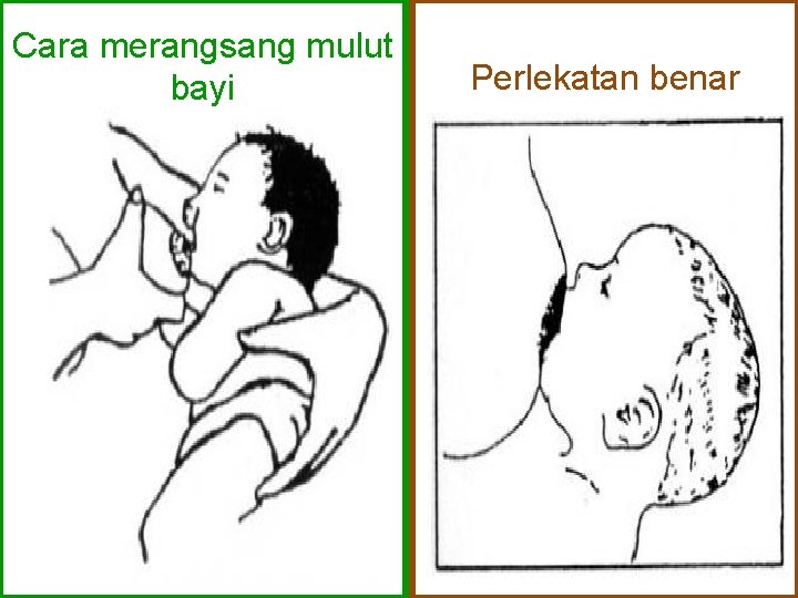 Cara merangsang mulut bayi Perlekatan benar 
