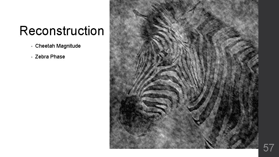 Reconstruction • Cheetah Magnitude • Zebra Phase 57 