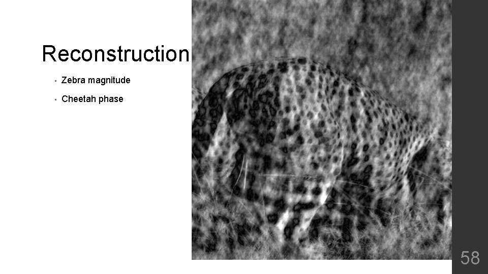 Reconstruction • Zebra magnitude • Cheetah phase 58 