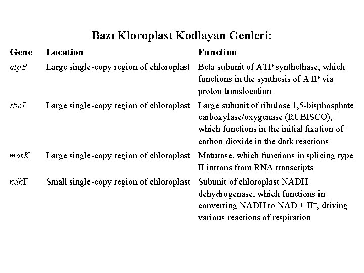 Bazı Kloroplast Kodlayan Genleri: Gene Location Function atp. B Large single-copy region of chloroplast