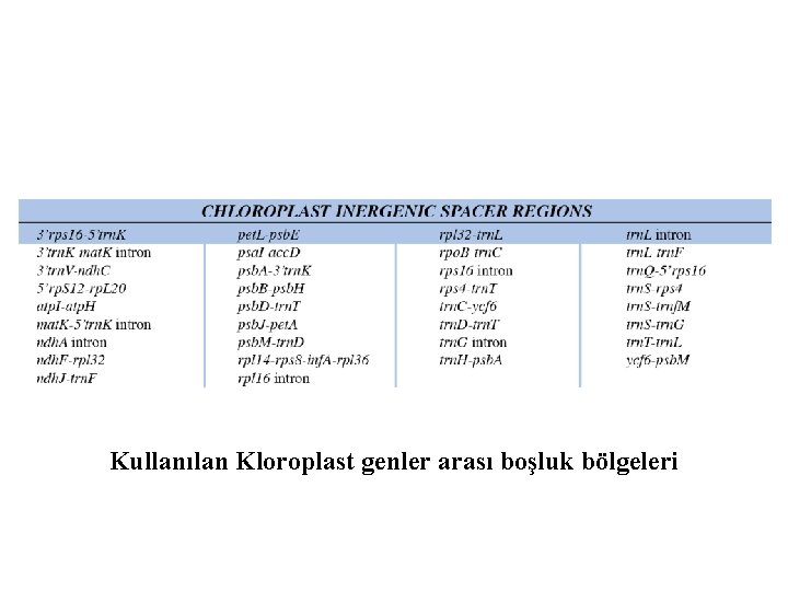 Kullanılan Kloroplast genler arası boşluk bölgeleri 