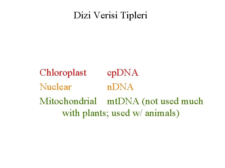 Dizi Verisi Tipleri Chloroplast cp. DNA Nuclear n. DNA Mitochondrial mt. DNA (not used
