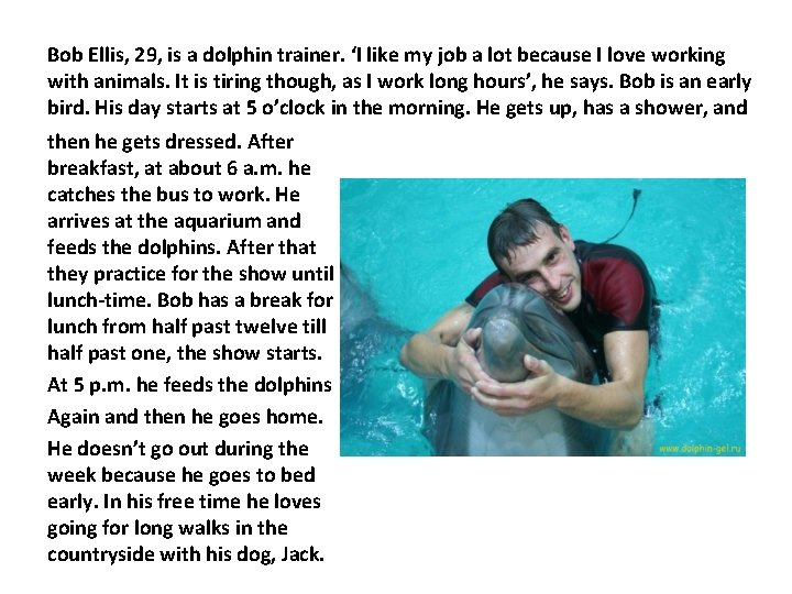 Bob Ellis, 29, is a dolphin trainer. ‘I like my job a lot because