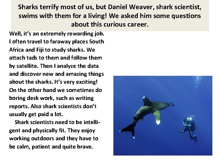 Sharks terrify most of us, but Daniel Weaver, shark scientist, swims with them for