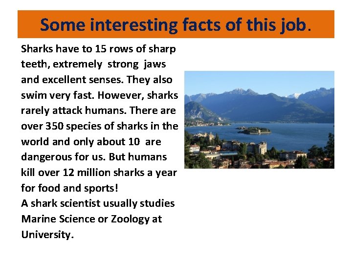 Some interesting facts of this job. Sharks have to 15 rows of sharp teeth,