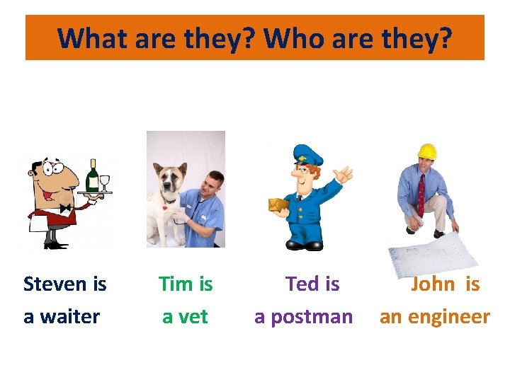 What are they? Who are they? Steven is a waiter Tim is a vet