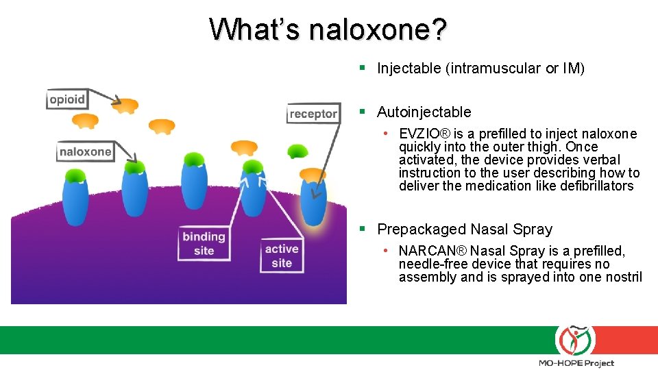 What’s naloxone? § Injectable (intramuscular or IM) § Autoinjectable • EVZIO® is a prefilled