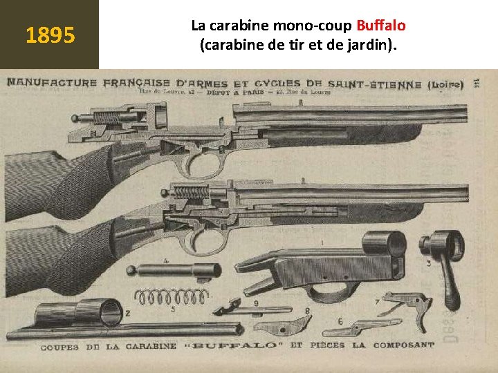 1895 La carabine mono-coup Buffalo (carabine de tir et de jardin). 