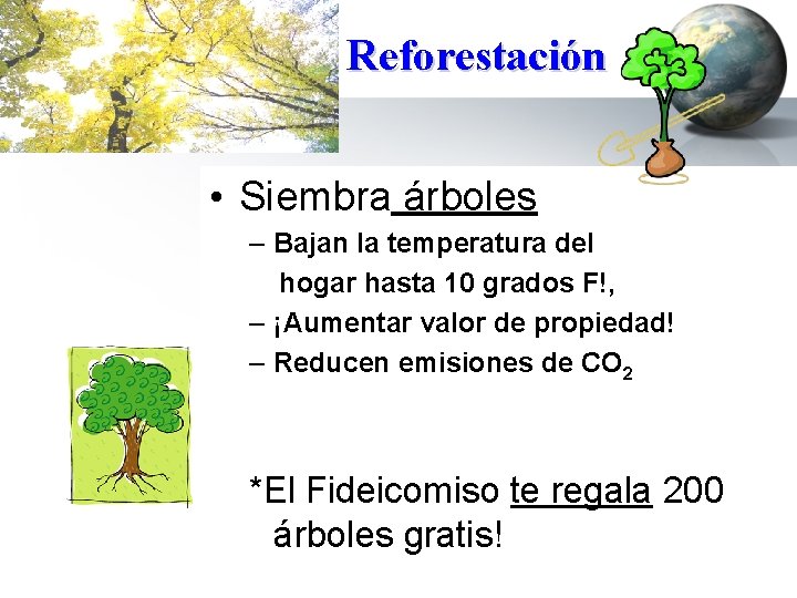 Reforestación • Siembra árboles – Bajan la temperatura del hogar hasta 10 grados F!,