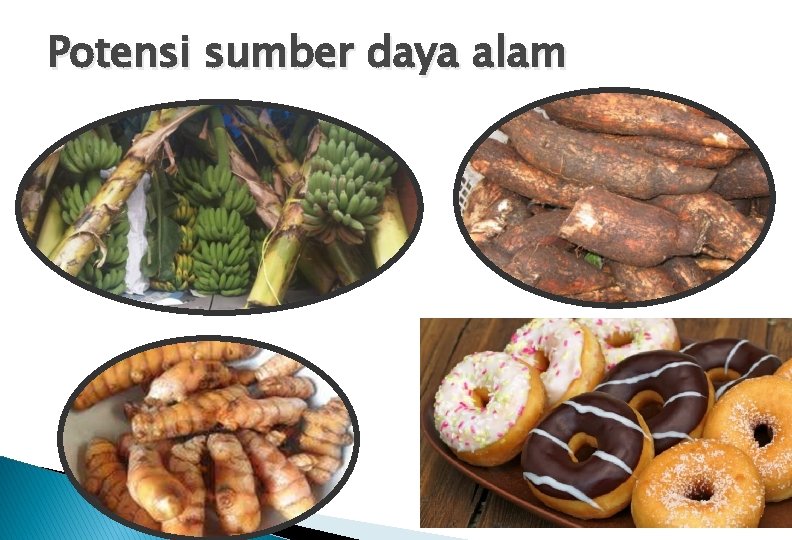 Potensi sumber daya alam 