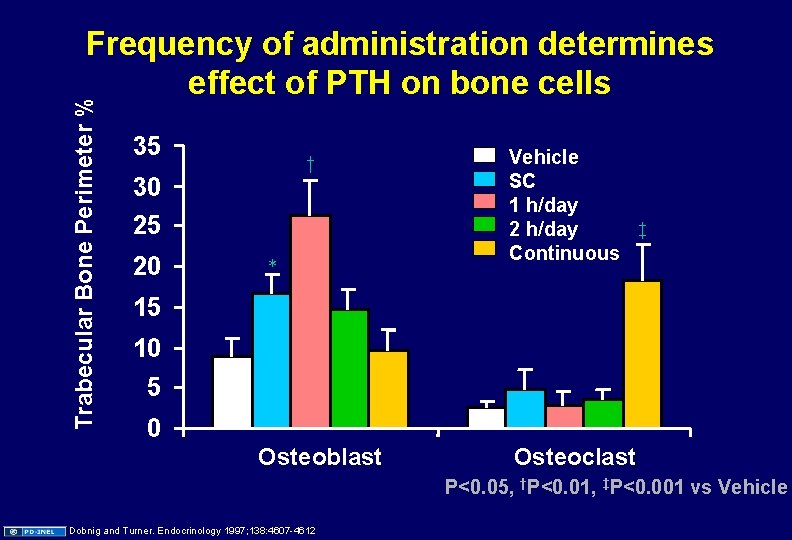 Trabecular Bone Perimeter % Frequency of administration determines effect of PTH on bone cells