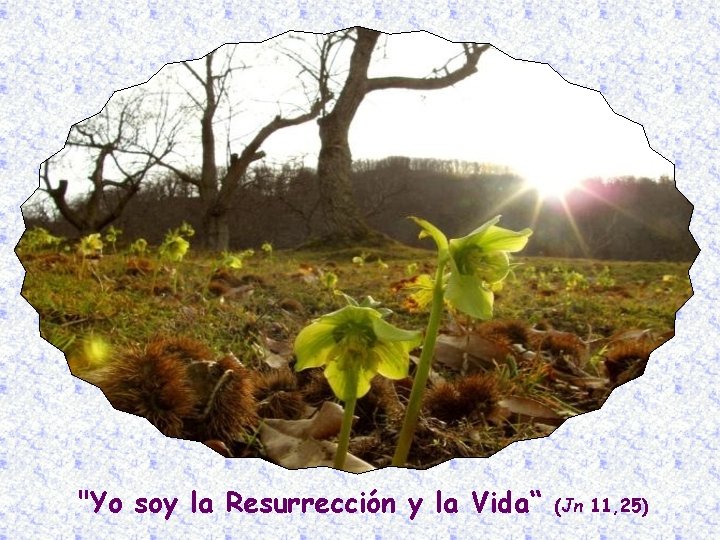 "Yo soy la Resurrección y la Vida“ (Jn 11, 25) 
