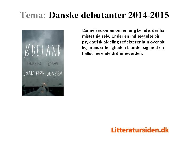 Tema: Danske debutanter 2014 -2015 Dannelsesroman om en ung kvinde, der har mistet sig