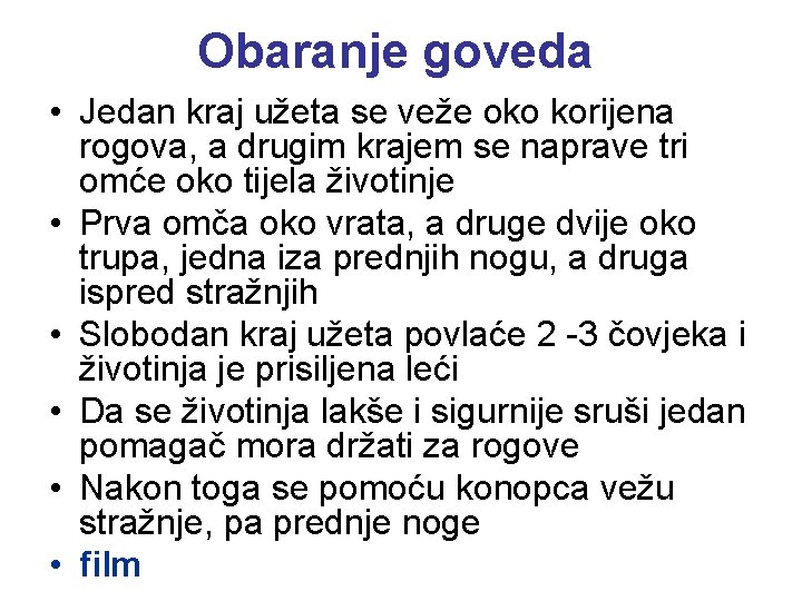 Obaranje goveda • Jedan kraj užeta se veže oko korijena rogova, a drugim krajem