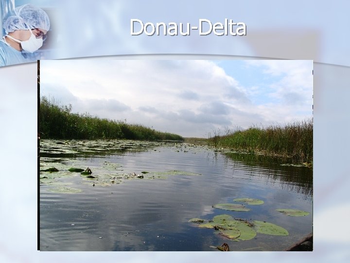 Donau-Delta 