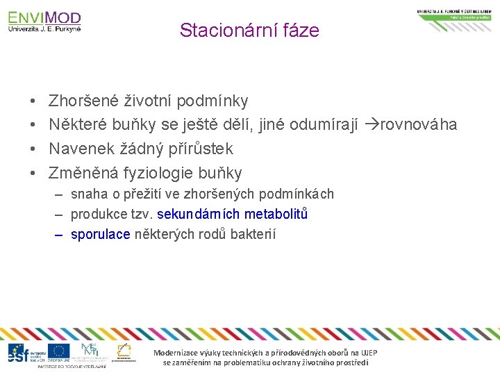 Stacionární fáze • • Zhoršené životní podmínky Některé buňky se ještě dělí, jiné odumírají