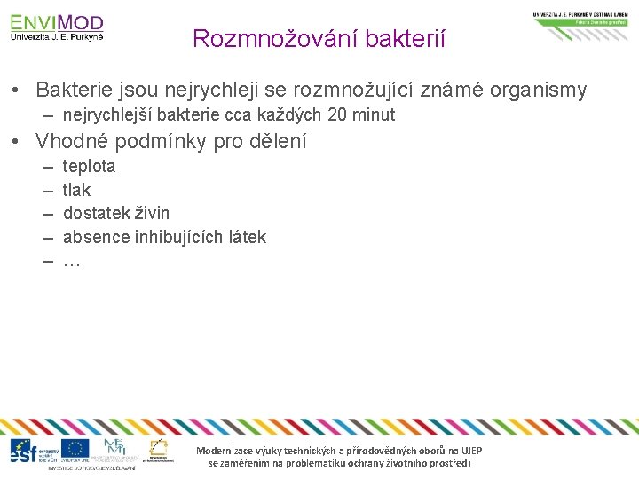 Rozmnožování bakterií • Bakterie jsou nejrychleji se rozmnožující známé organismy – nejrychlejší bakterie cca