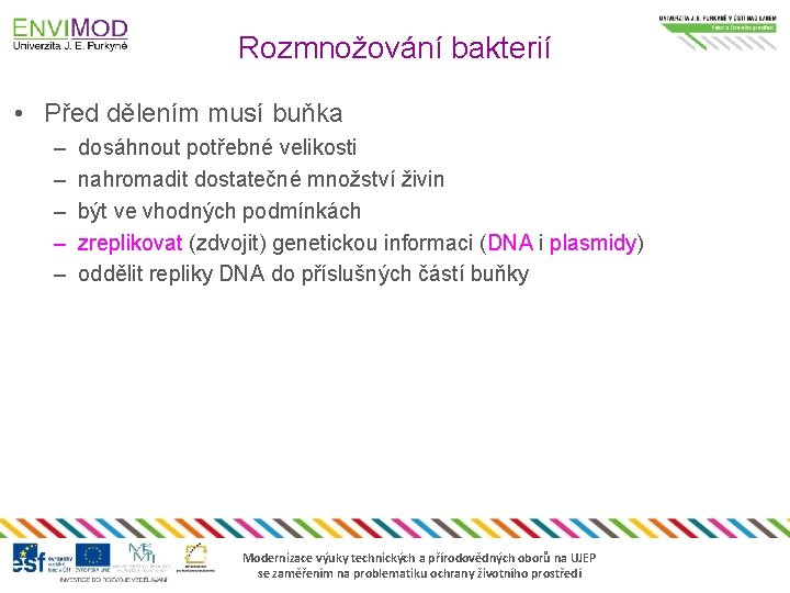 Rozmnožování bakterií • Před dělením musí buňka – – – dosáhnout potřebné velikosti nahromadit