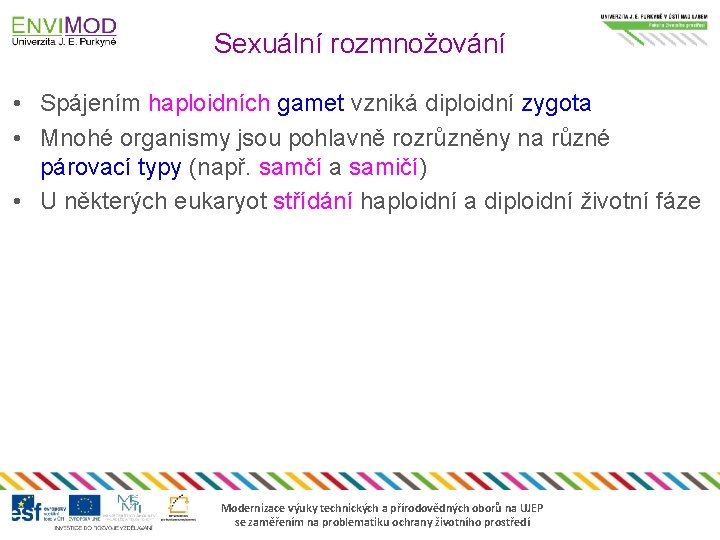 Sexuální rozmnožování • Spájením haploidních gamet vzniká diploidní zygota • Mnohé organismy jsou pohlavně