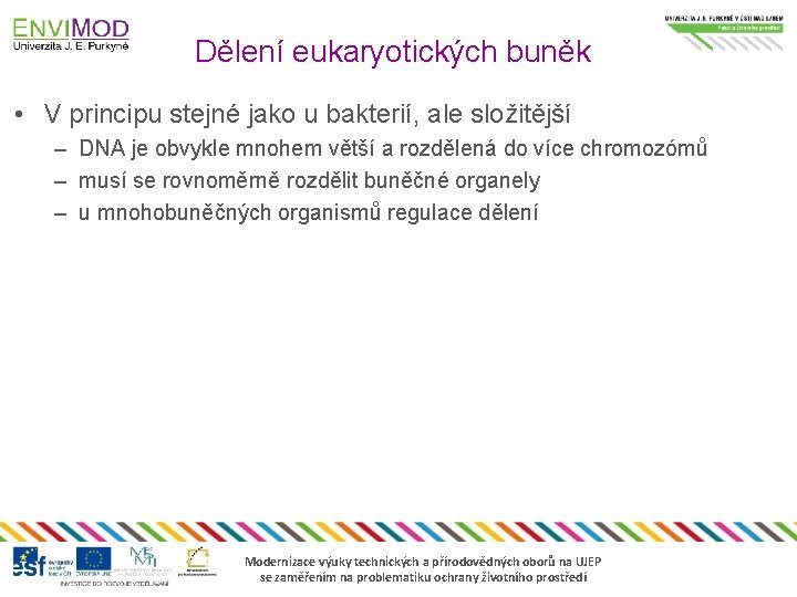 Dělení eukaryotických buněk • V principu stejné jako u bakterií, ale složitější – DNA