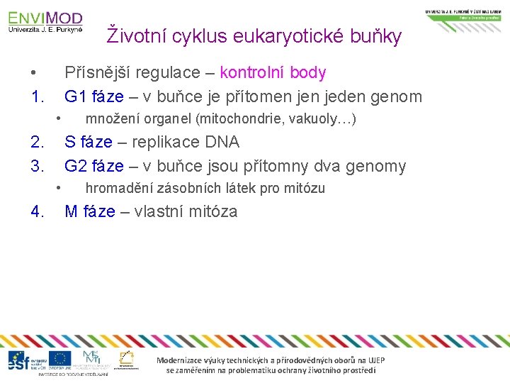 Životní cyklus eukaryotické buňky • 1. Přísnější regulace – kontrolní body G 1 fáze