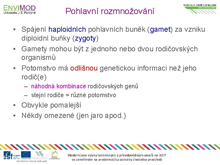 Pohlavní rozmnožování • Spájení haploidních pohlavních buněk (gamet) za vzniku diploidní buňky (zygoty) •