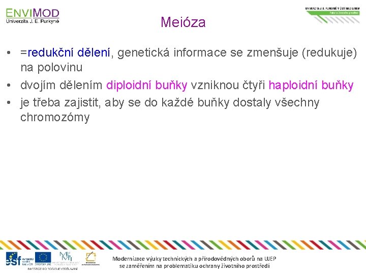 Meióza • =redukční dělení, genetická informace se zmenšuje (redukuje) na polovinu • dvojím dělením