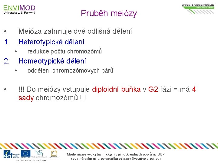 Průběh meiózy • 1. Meióza zahrnuje dvě odlišná dělení Heterotypické dělení • 2. Homeotypické