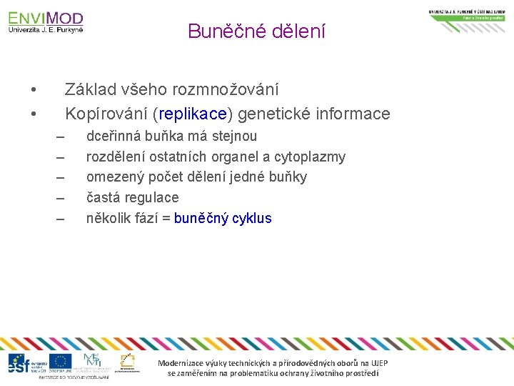 Buněčné dělení • • Základ všeho rozmnožování Kopírování (replikace) genetické informace – – –