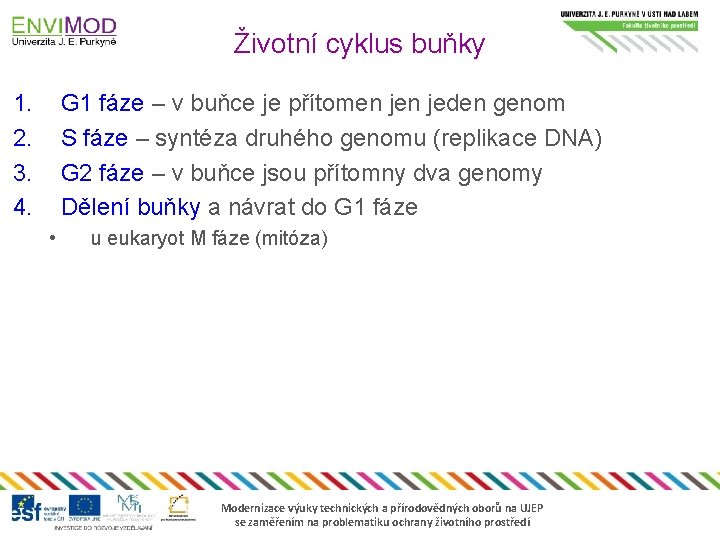 Životní cyklus buňky 1. 2. 3. 4. G 1 fáze – v buňce je