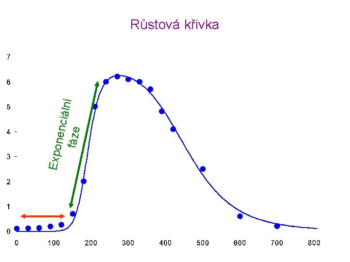 Expon enciál ní fáze Růstová křivka Čas [min] 